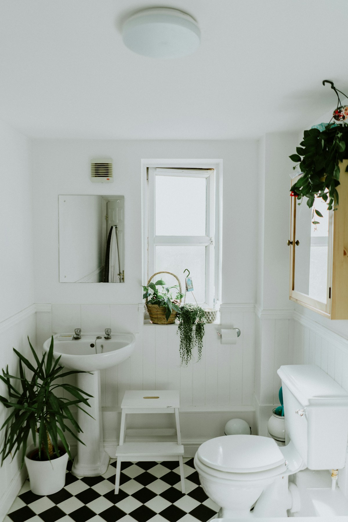 Master bathroom renovation